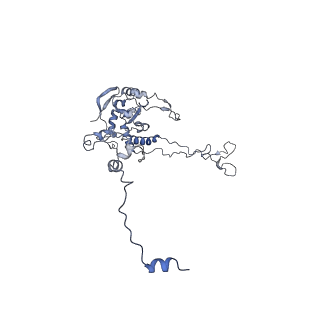 0202_6hd7_G_v1-2
Cryo-EM structure of the ribosome-NatA complex