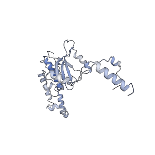 0202_6hd7_H_v1-2
Cryo-EM structure of the ribosome-NatA complex