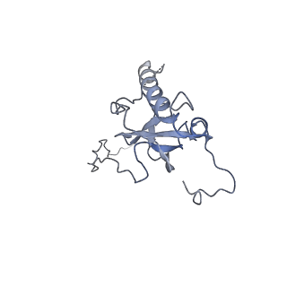 0202_6hd7_I_v1-2
Cryo-EM structure of the ribosome-NatA complex
