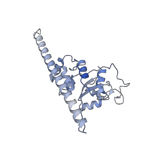 0202_6hd7_J_v1-2
Cryo-EM structure of the ribosome-NatA complex