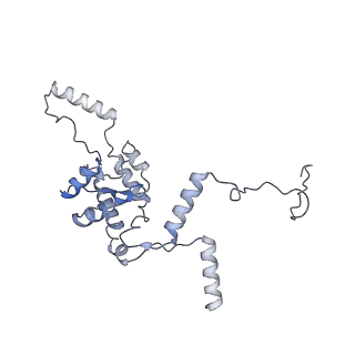 0202_6hd7_K_v1-2
Cryo-EM structure of the ribosome-NatA complex