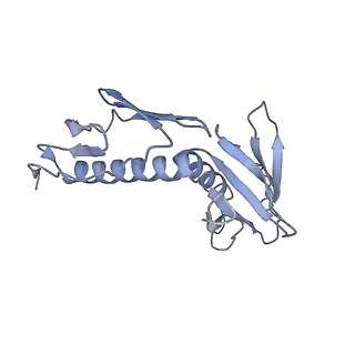 0202_6hd7_L_v1-2
Cryo-EM structure of the ribosome-NatA complex