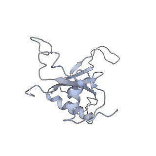 0202_6hd7_M_v1-2
Cryo-EM structure of the ribosome-NatA complex