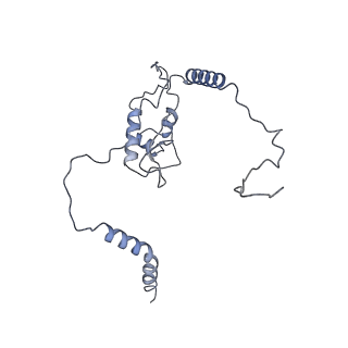 0202_6hd7_N_v1-2
Cryo-EM structure of the ribosome-NatA complex