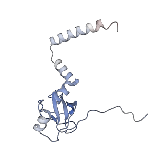 0202_6hd7_O_v1-2
Cryo-EM structure of the ribosome-NatA complex