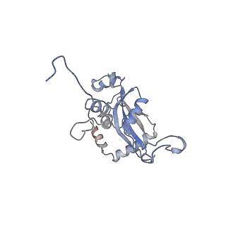 0202_6hd7_P_v1-2
Cryo-EM structure of the ribosome-NatA complex