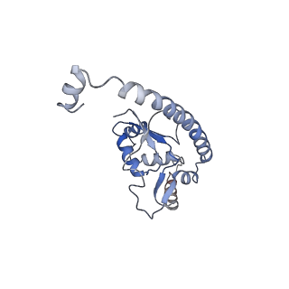 0202_6hd7_Q_v1-2
Cryo-EM structure of the ribosome-NatA complex