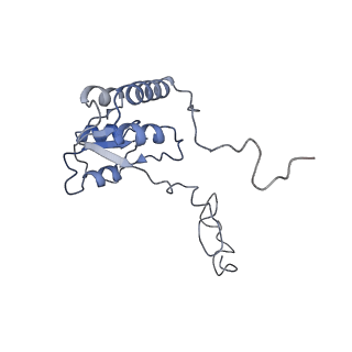 0202_6hd7_S_v1-2
Cryo-EM structure of the ribosome-NatA complex