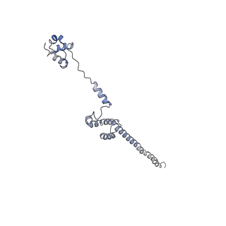 0202_6hd7_T_v1-2
Cryo-EM structure of the ribosome-NatA complex