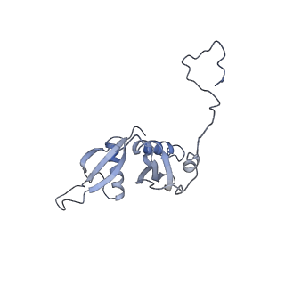 0202_6hd7_U_v1-2
Cryo-EM structure of the ribosome-NatA complex