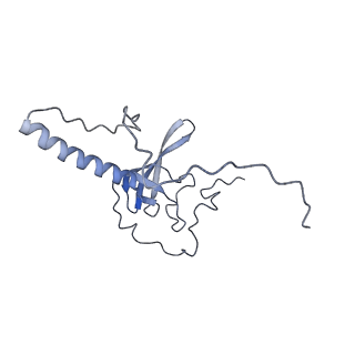 0202_6hd7_V_v1-2
Cryo-EM structure of the ribosome-NatA complex