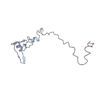 0202_6hd7_Y_v1-2
Cryo-EM structure of the ribosome-NatA complex