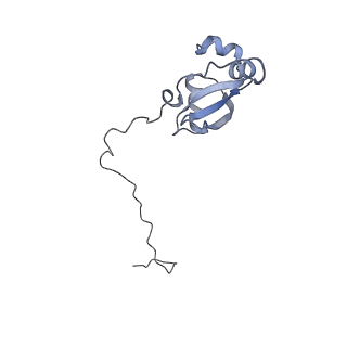 0202_6hd7_Z_v1-2
Cryo-EM structure of the ribosome-NatA complex
