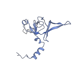 0202_6hd7_a_v1-2
Cryo-EM structure of the ribosome-NatA complex