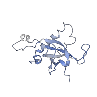 0202_6hd7_b_v1-2
Cryo-EM structure of the ribosome-NatA complex