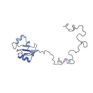 0202_6hd7_c_v1-2
Cryo-EM structure of the ribosome-NatA complex