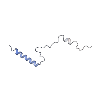 0202_6hd7_d_v1-2
Cryo-EM structure of the ribosome-NatA complex