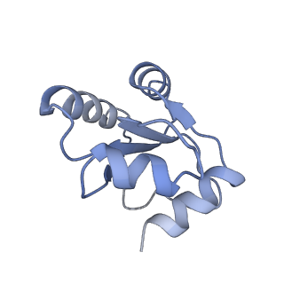 0202_6hd7_e_v1-2
Cryo-EM structure of the ribosome-NatA complex