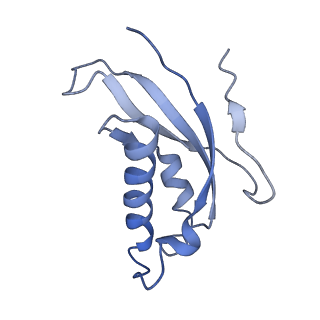 0202_6hd7_f_v1-2
Cryo-EM structure of the ribosome-NatA complex