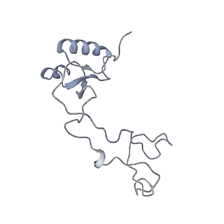 0202_6hd7_g_v1-2
Cryo-EM structure of the ribosome-NatA complex