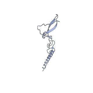 0202_6hd7_i_v1-2
Cryo-EM structure of the ribosome-NatA complex
