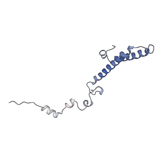 0202_6hd7_j_v1-2
Cryo-EM structure of the ribosome-NatA complex