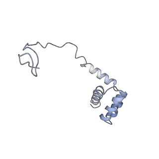 0202_6hd7_k_v1-2
Cryo-EM structure of the ribosome-NatA complex