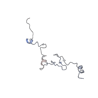 0202_6hd7_l_v1-2
Cryo-EM structure of the ribosome-NatA complex