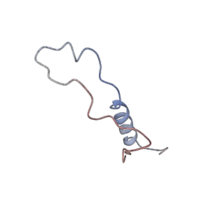 0202_6hd7_n_v1-2
Cryo-EM structure of the ribosome-NatA complex