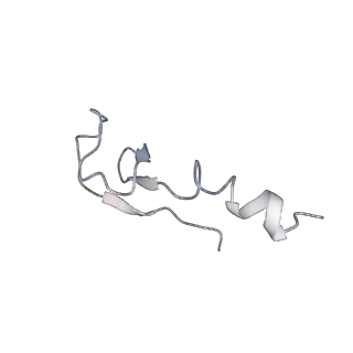 0202_6hd7_o_v1-2
Cryo-EM structure of the ribosome-NatA complex