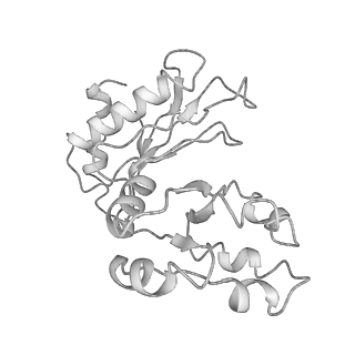 0202_6hd7_r_v1-2
Cryo-EM structure of the ribosome-NatA complex
