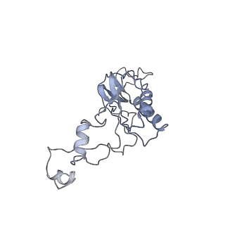 0202_6hd7_s_v1-2
Cryo-EM structure of the ribosome-NatA complex