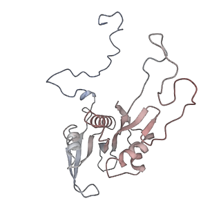 0202_6hd7_u_v1-2
Cryo-EM structure of the ribosome-NatA complex