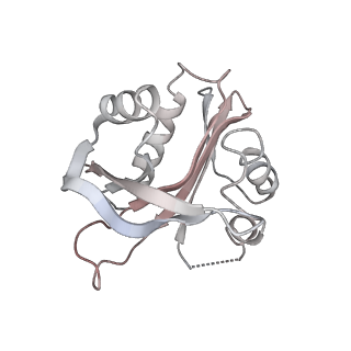 0202_6hd7_v_v1-2
Cryo-EM structure of the ribosome-NatA complex