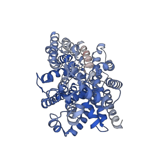 34673_8hdh_A_v1-2
Structure of human SGLT2-MAP17 complex with Canagliflozin