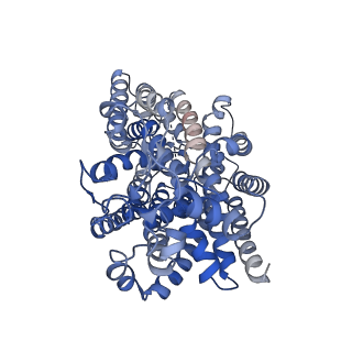 34673_8hdh_A_v1-3
Structure of human SGLT2-MAP17 complex with Canagliflozin