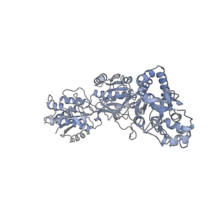 34674_8hdk_B_v1-2
Structure of the Rat GluN1-GluN2C NMDA receptor in complex with glycine and glutamate (minor class in symmetry)