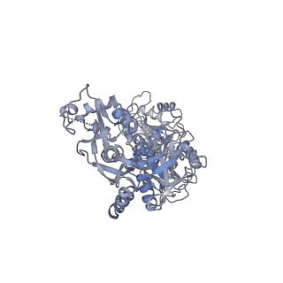 34674_8hdk_C_v1-2
Structure of the Rat GluN1-GluN2C NMDA receptor in complex with glycine and glutamate (minor class in symmetry)