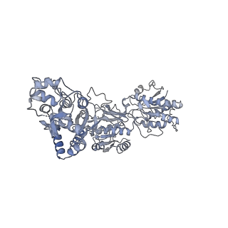 34674_8hdk_D_v1-2
Structure of the Rat GluN1-GluN2C NMDA receptor in complex with glycine and glutamate (minor class in symmetry)