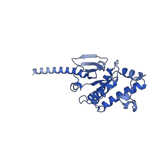 34677_8hdp_A_v1-0
Structure of A2BR bound to endogenous agonists adenosine