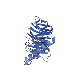 34677_8hdp_B_v1-0
Structure of A2BR bound to endogenous agonists adenosine