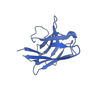 34677_8hdp_N_v1-0
Structure of A2BR bound to endogenous agonists adenosine