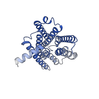34677_8hdp_R_v1-0
Structure of A2BR bound to endogenous agonists adenosine