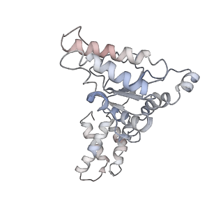 0209_6he4_H_v1-1
AAA-ATPase ring of PAN-proteasomes