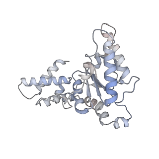 0209_6he4_I_v1-1
AAA-ATPase ring of PAN-proteasomes