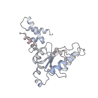 0209_6he4_J_v1-1
AAA-ATPase ring of PAN-proteasomes