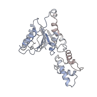 0209_6he4_M_v1-1
AAA-ATPase ring of PAN-proteasomes