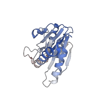 0211_6he7_1_v1-1
20S proteasome from Archaeoglobus fulgidus