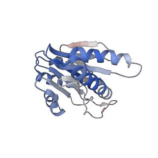 0211_6he7_3_v1-1
20S proteasome from Archaeoglobus fulgidus