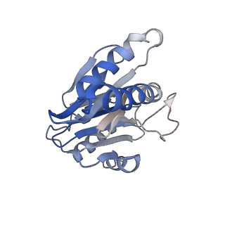 0211_6he7_4_v1-1
20S proteasome from Archaeoglobus fulgidus